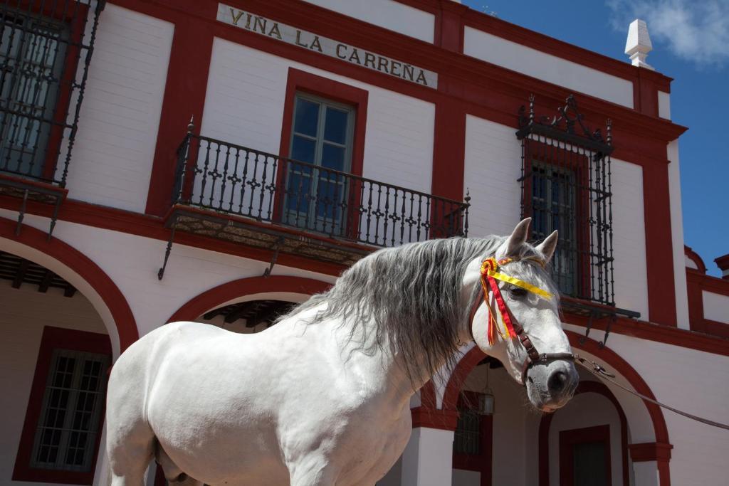 Hotel La Carreña Jerez de la Frontera Habitación foto